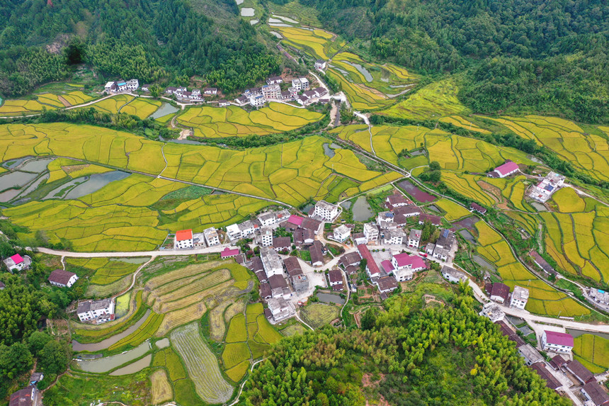 在樂安縣金竹畬族鄉(xiāng)半坪村，鄉(xiāng)村美景映入眼簾。黃煜攝