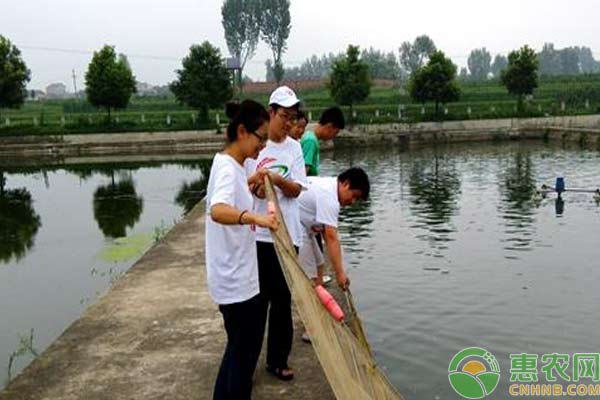 養(yǎng)魚技術(shù)：冬天來了，你的魚塘清理了么