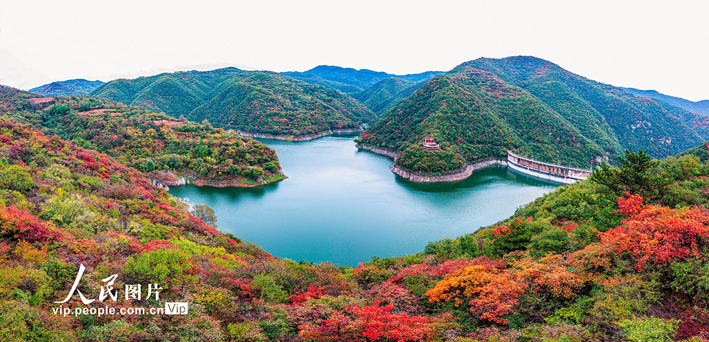 山西平陸：大河廟水庫(kù)秋意漸濃【2】