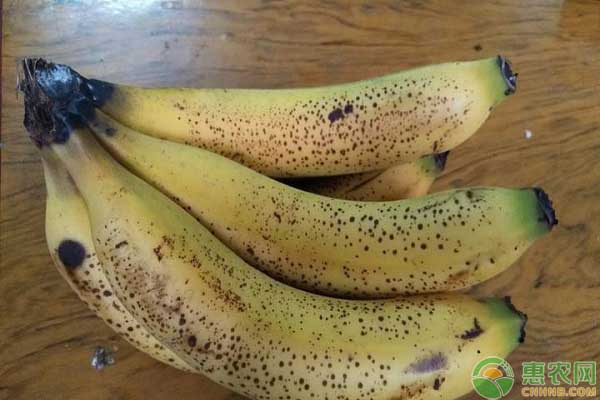 香蕉长黑斑的原因