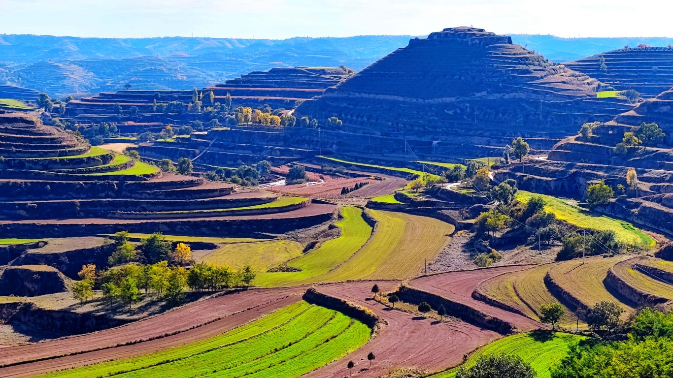 20221104105342127-45-8ca31.jpg_scale_.jpg