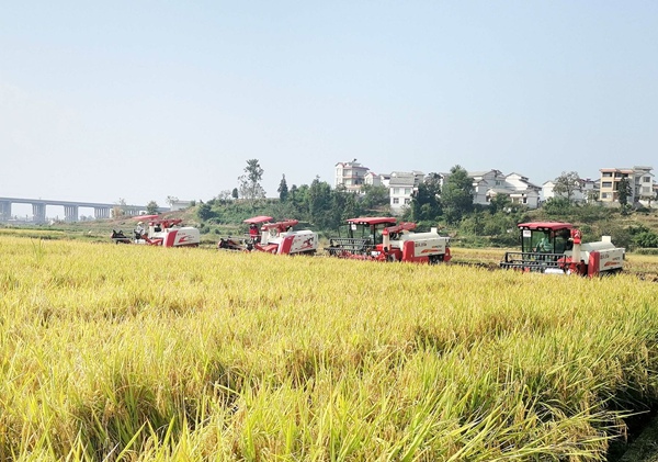 在惠水县，农机已经广泛用于农业生产。