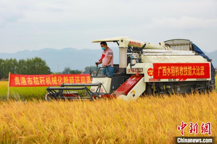 图为参赛选手正在操作机械收割稻谷。　王伟臣 摄