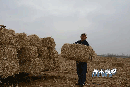 微信图片_20221117120950.gif
