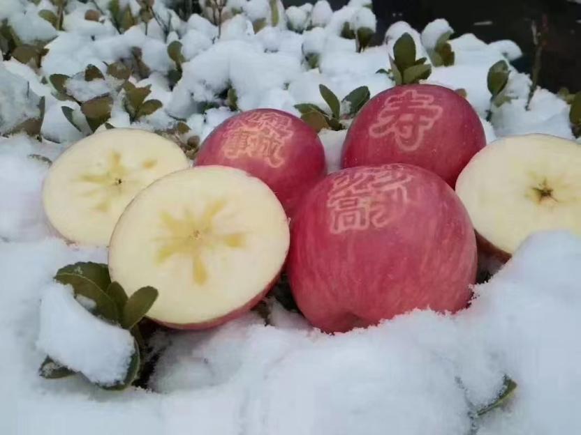 微信图片_20221209145813