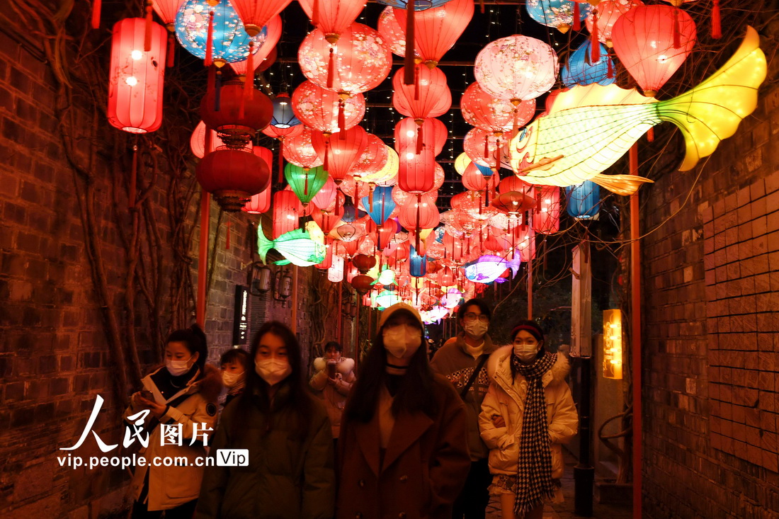 江蘇南京：花燈璀璨迎新年【3】