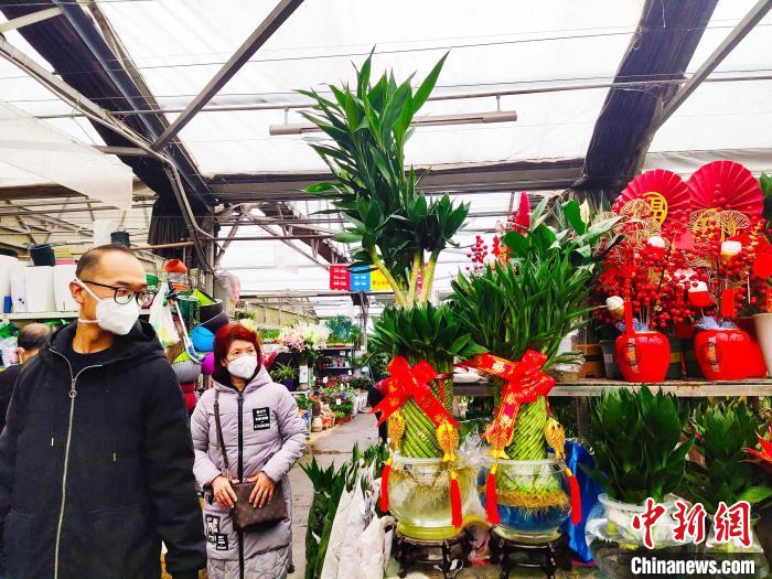 當(dāng)日，烏魯木齊市南昌路花卉市場人頭攢動(dòng)、購花者絡(luò)繹不絕?！⊥跣≤?攝