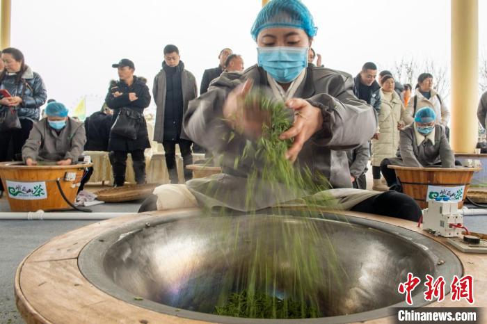 嫩茶葉在參賽選手炒茶手法的變換中“跳躍”?！⒅铱?攝