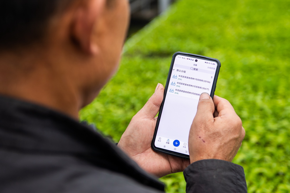 2月8日，在鼎城區(qū)國家現(xiàn)代農(nóng)業(yè)產(chǎn)業(yè)園一處蔬菜育苗基地，工作人員使用手機(jī)控制大棚內(nèi)溫度、濕度。新華社記者 陳思汗 攝