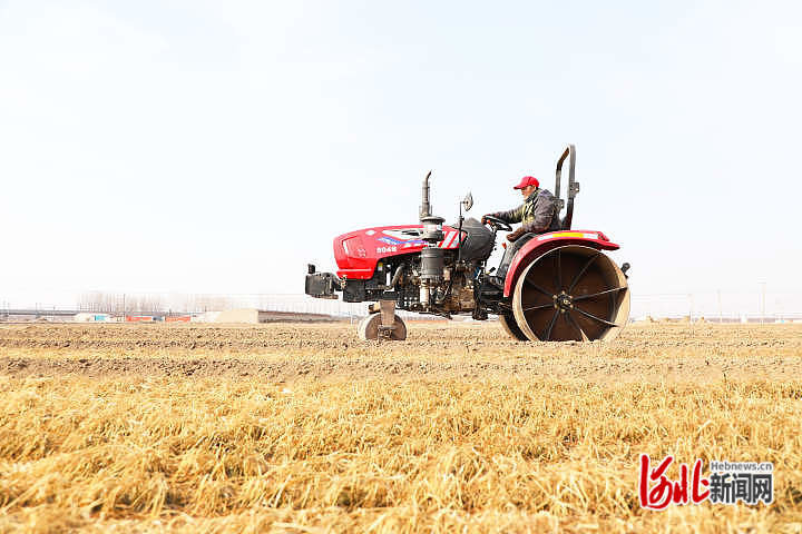 2月15日，唐山市丰润区高各庄村农民在麦田里开展备耕作业。