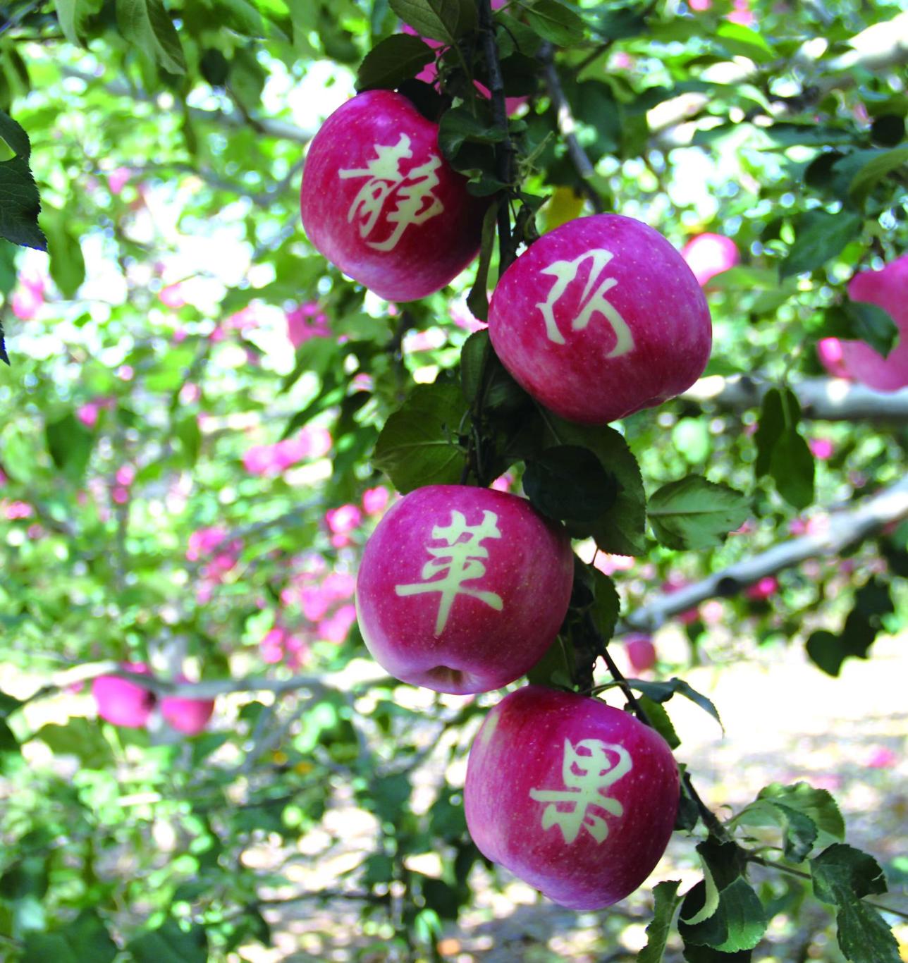 20230301124720418-85-c95cf.jpg_scale_.jpg 20230301124720418-85-c95cf.jpg_scale_.jpg