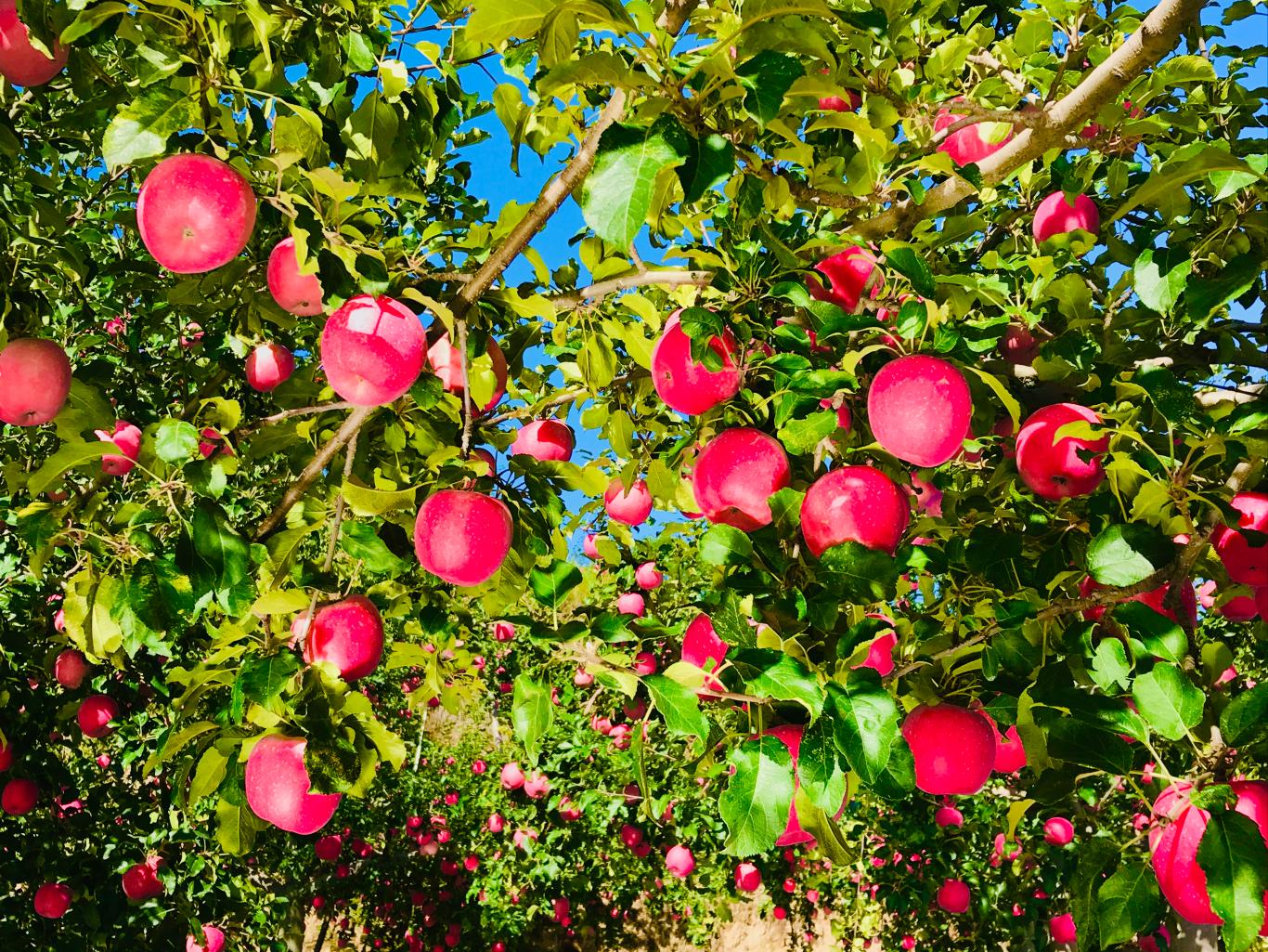 20230301124724274-98-b75ea.jpg_scale_.jpg 20230301124724274-98-b75ea.jpg_scale_.jpg