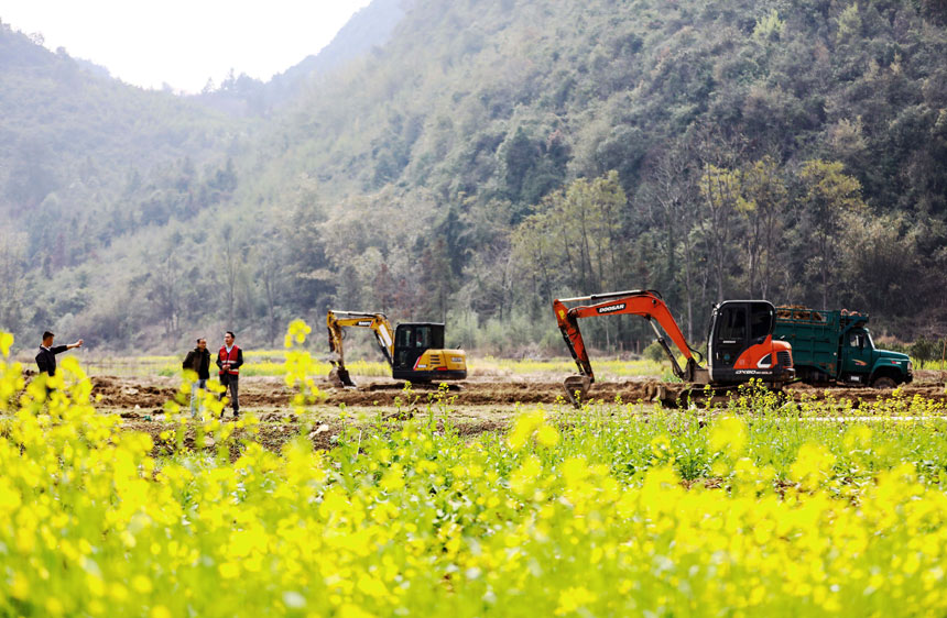 融安縣農(nóng)業(yè)農(nóng)村局技術(shù)人員正在指揮挖掘機(jī)進(jìn)行土地平整。