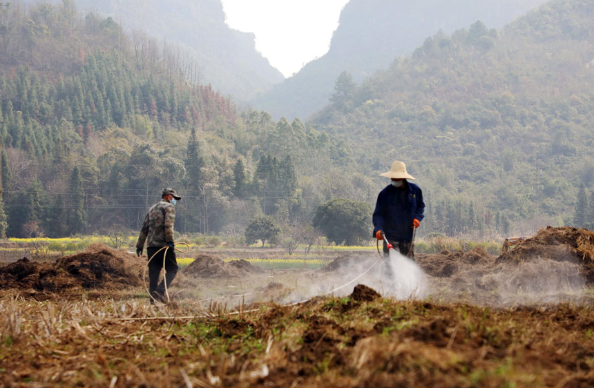 農(nóng)民正在對撂荒田進(jìn)行除草。