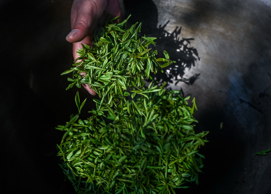 3月13日，龍井村茶農(nóng)在手工炒制西湖龍井“明前茶”。