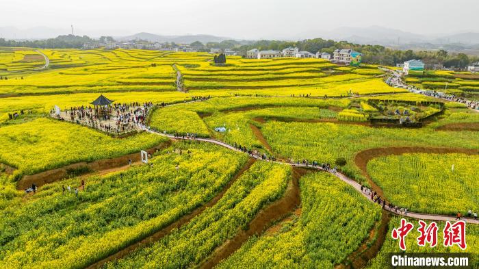 3月12日，航拍江西瑞昌市武蛟鄉(xiāng)萬畝金色油菜花競相綻放，不少游客慕名前來踏春賞花，享受美好春光?！∥簴|升 攝