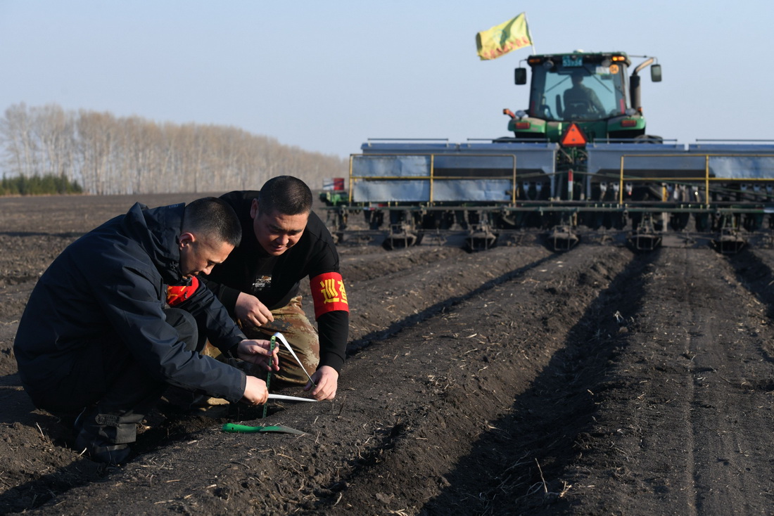 4月8日，在位于黑龙江省北安市的北大荒集团建设农场有限公司第四管理区一处农田，农业技术员在监测施肥作业质量。