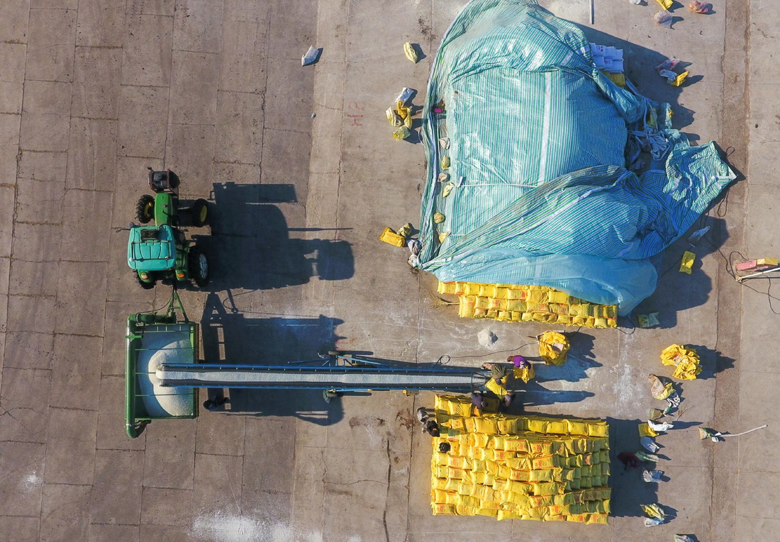 4月8日，在位于黑龙江省北安市的北大荒集团建设农场有限公司，拖拉机在装运肥料（无人机照片）。