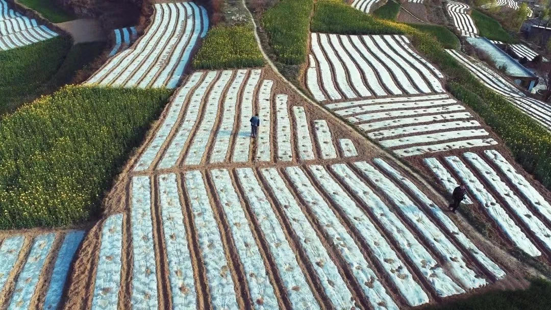 20230412122330110-84-7070c.jpg