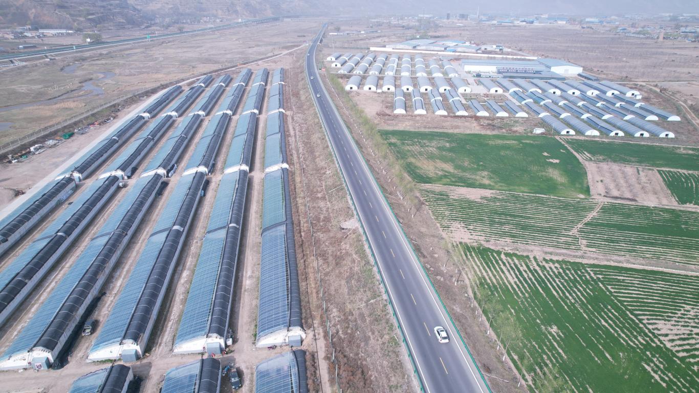 20230417142701108-66-bb747.JPG_scale_.jpg