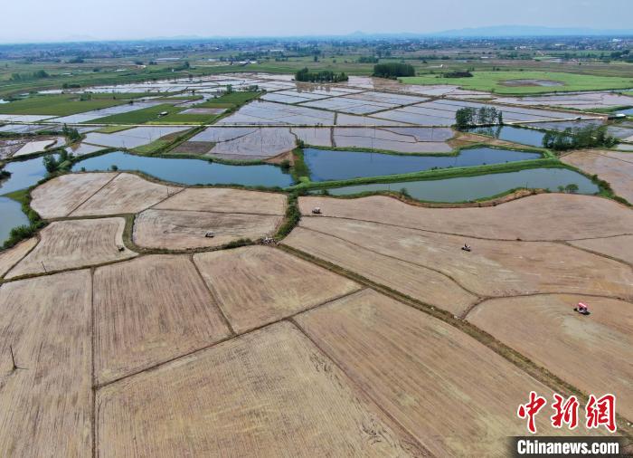 農(nóng)民駕駛農(nóng)機(jī)在田間勞作。(無人機(jī)照片) 陳家樂 攝