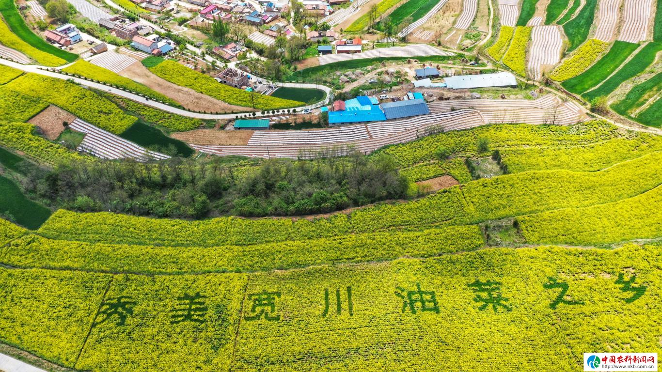 20230509163717155-97-810a5.jpg_scale_.jpg