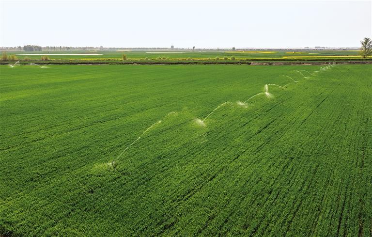 先进灌溉节水技术更助农