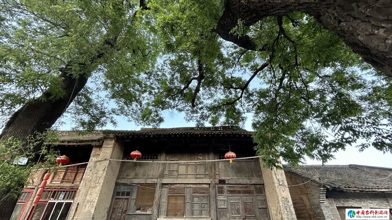 20230601112236525-79-2b3f0.png_scale_.png