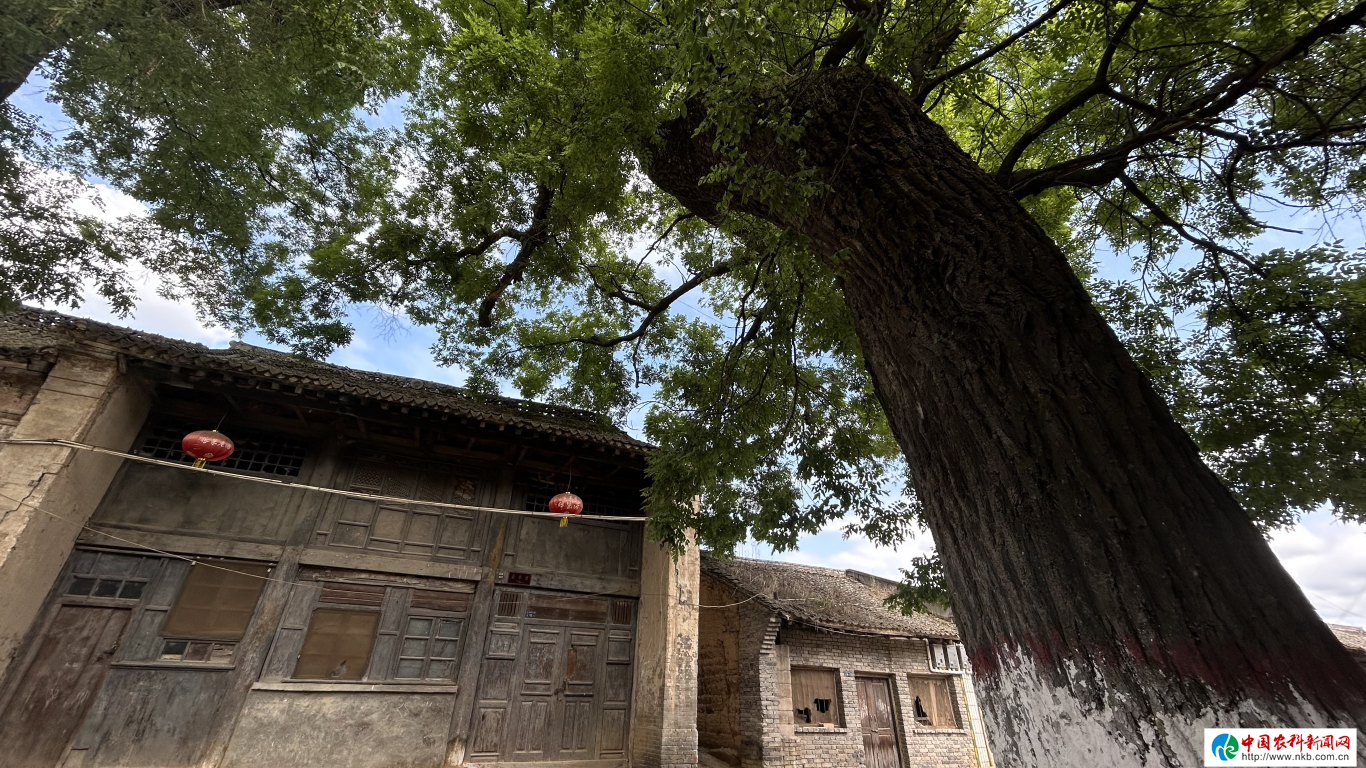20230601112403630-29-66b5d.png_scale_.png