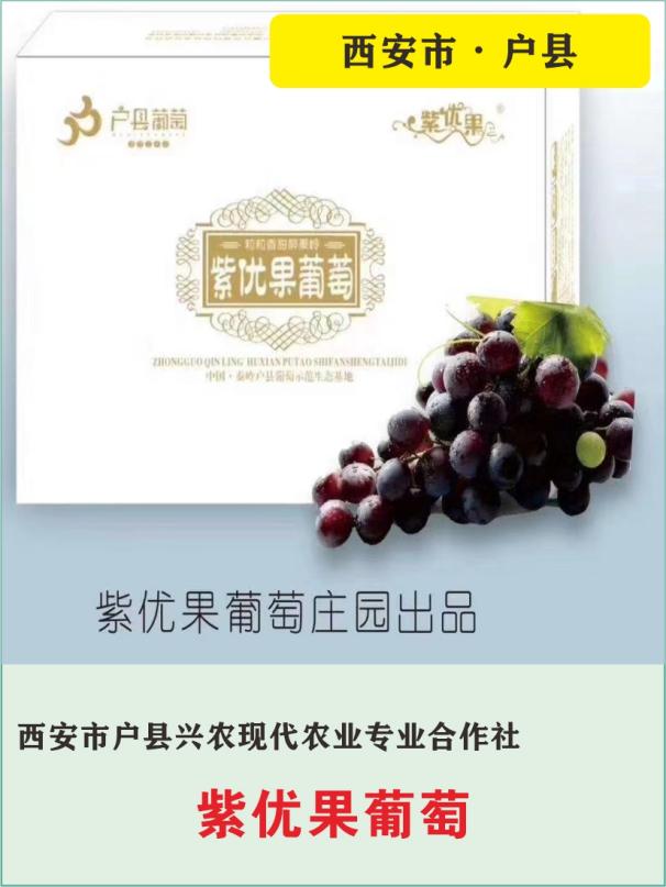 14、西安市户县兴农现代农业专业合作社