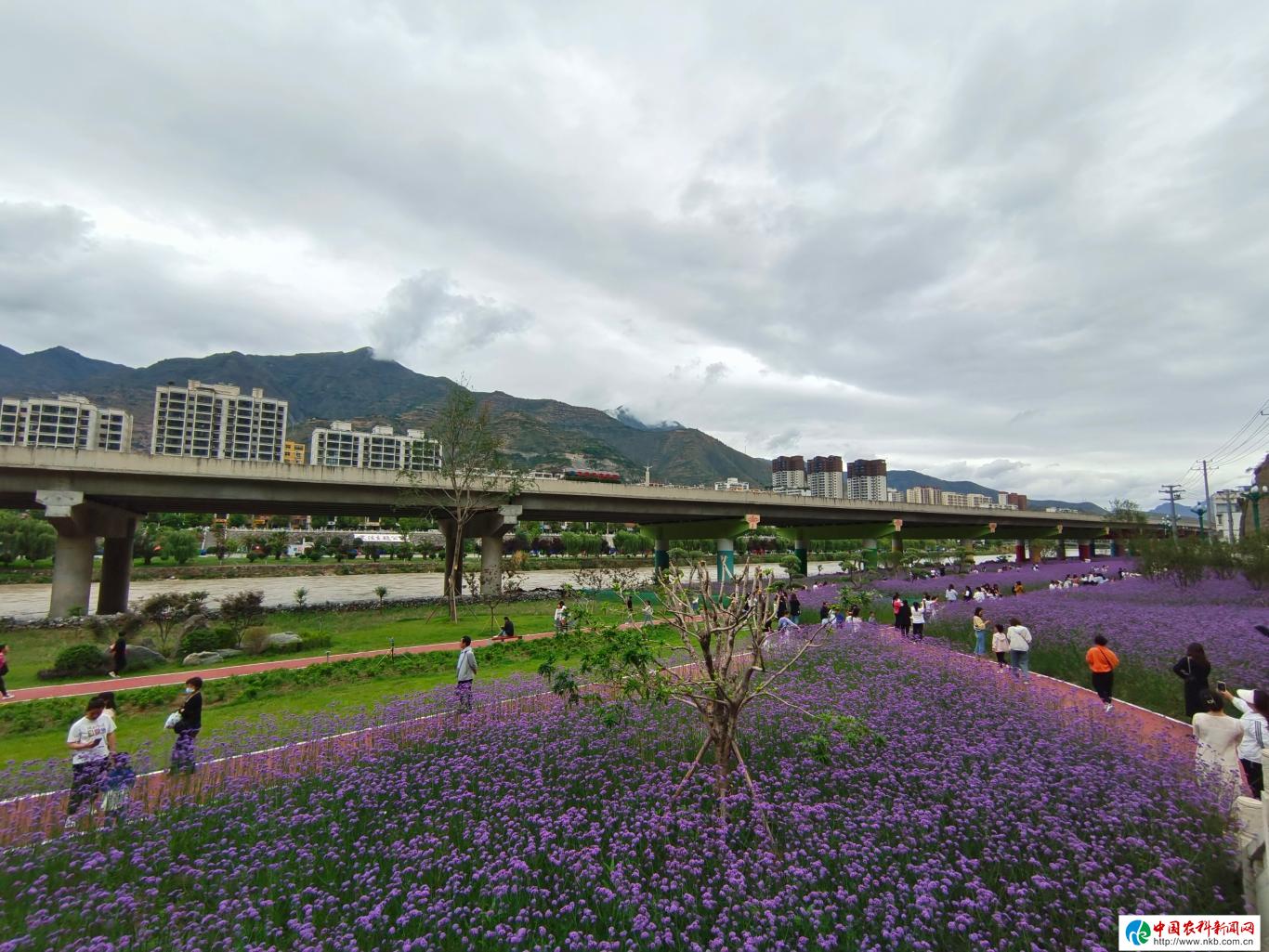 20230605110241972-85-9fa04.jpg_scale_.jpg