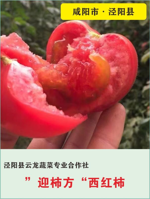 24、泾阳县云龙蔬菜专业合作社