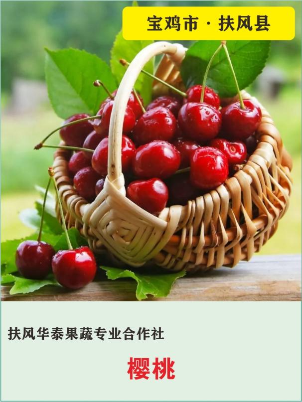 25、扶风华泰果蔬专业合作社