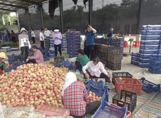 微信图片_20230601095946
