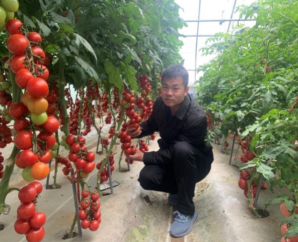 E:\科技特派员工作相关\2023年度河南省果蔬产业服务团服务工作（2023年1月1日开始）\20230420-23山东寿光蔬菜国际博览会，并参观金佰利公司、方新食品公司和华农芦笋公司\筛选\微信图片_20230525190914.jpg