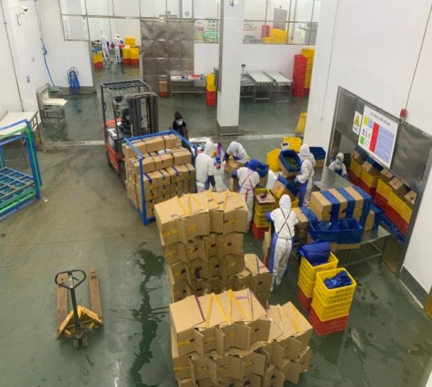 E:\科技特派员工作相关\2023年度河南省果蔬产业服务团服务工作（2023年1月1日开始）\20230420-23山东寿光蔬菜国际博览会，并参观金佰利公司、方新食品公司和华农芦笋公司\筛选\微信图片_20230525191140.jpg