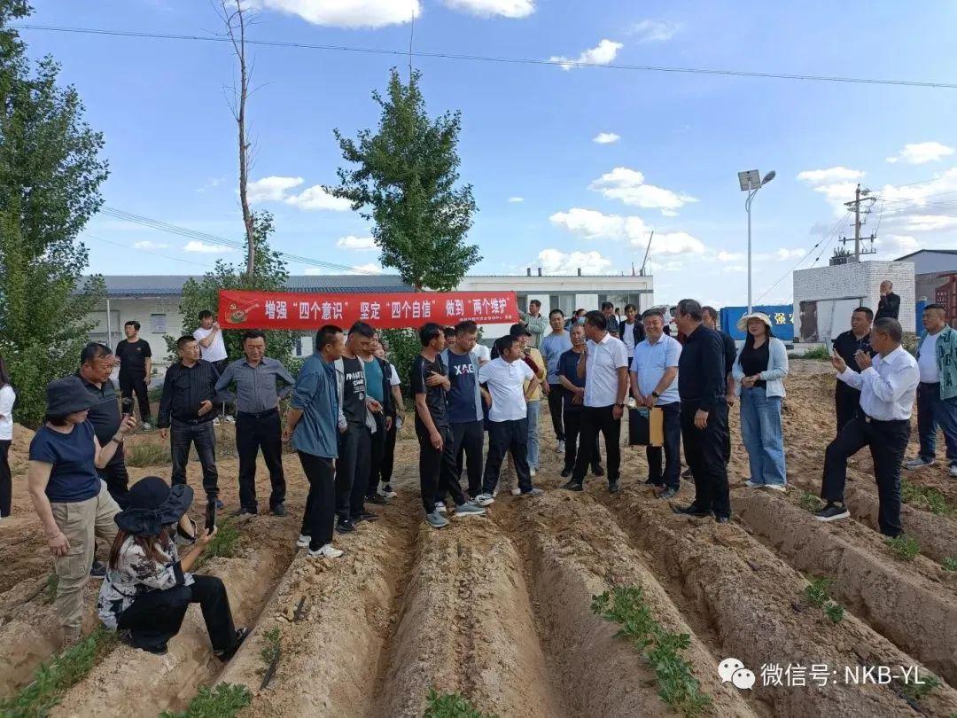榆林市2023年中级层次高素质农民培育种植专业培训结业认定工作圆满结束亚新体育(图2)