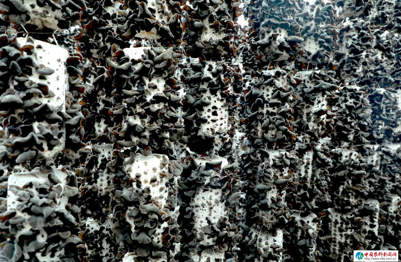 20230612162910210-97-aa2d0.JPG_scale_.jpg