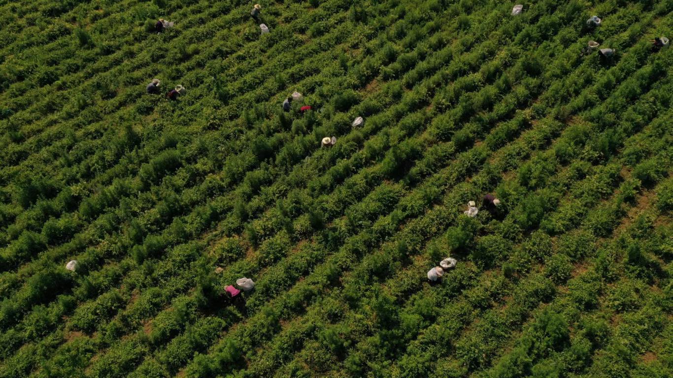 20230619212332489-79-4964e.jpg_scale_.jpg