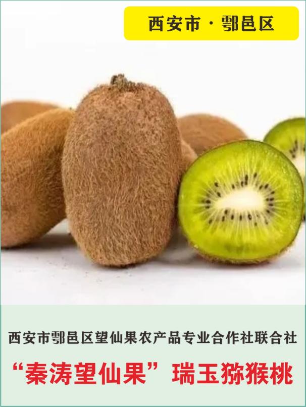 73、西安市鄠邑区望仙果业专业合作社