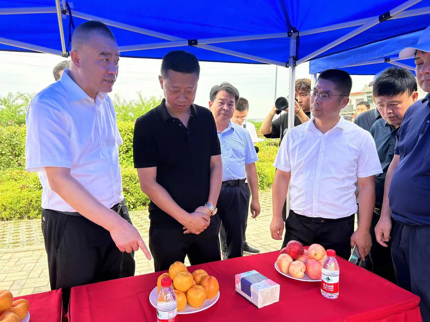 微信圖片_202307061726223