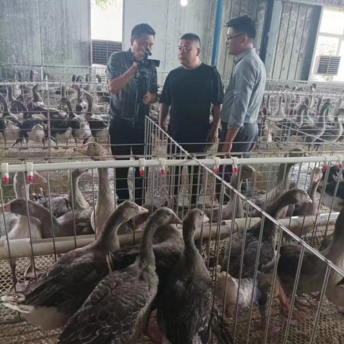 微信圖片_20230707103352