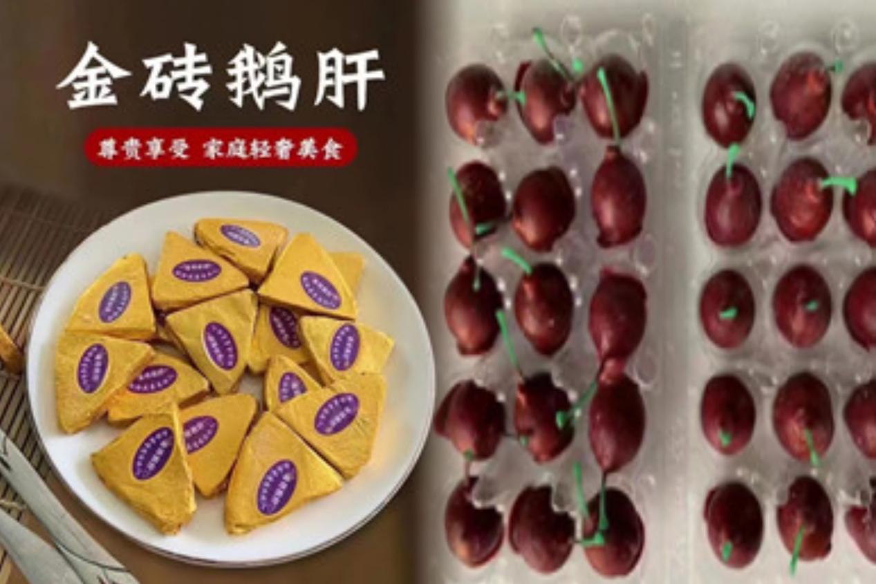 微信圖片_20230707154636