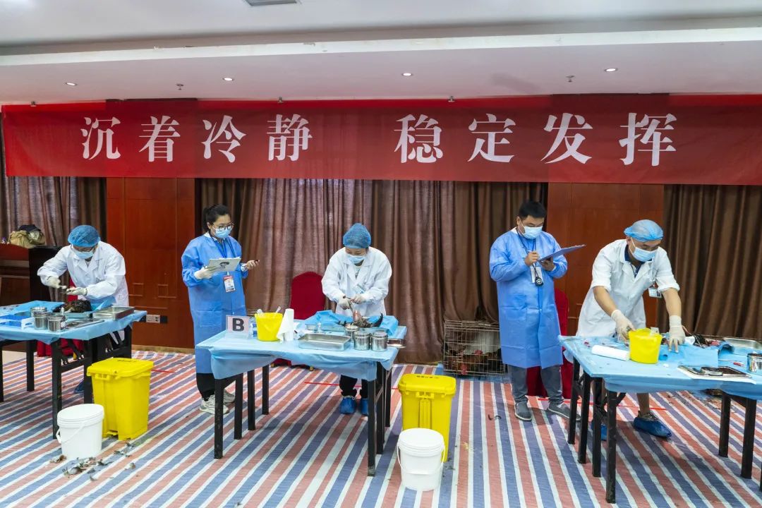 https://mmbiz.qpic.cn/mmbiz_jpg/BtGthjUB6aF5dOSfUuxfnIB2NRIOyDounp9pcHqibO5KhpicYESIX5DyC9ic8icJjMRORWOcVPc3TlkrHBJ2v7xbHg/640?wx_fmt=jpeg