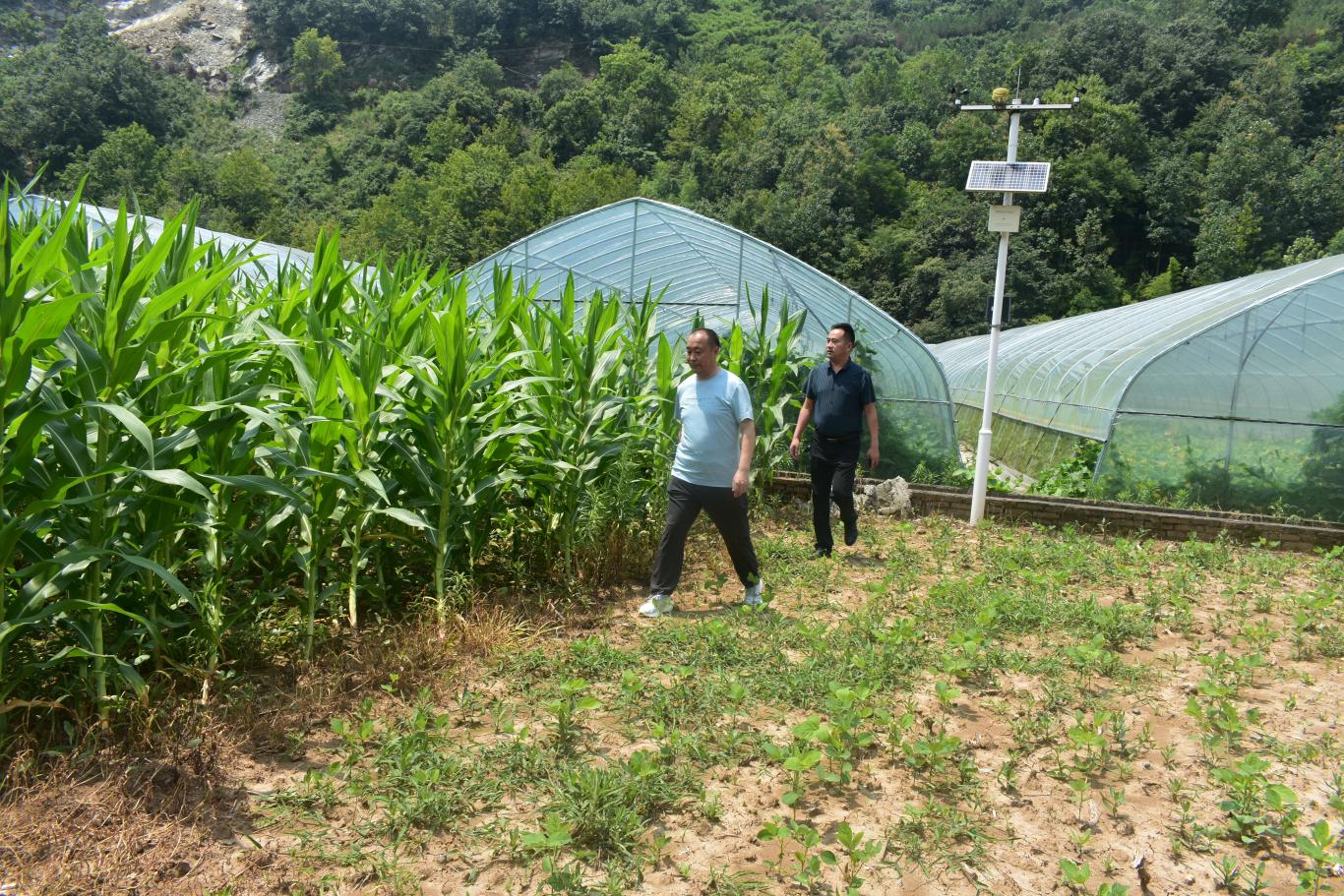 20230720124356036-46-542b3.jpg_scale_.jpg