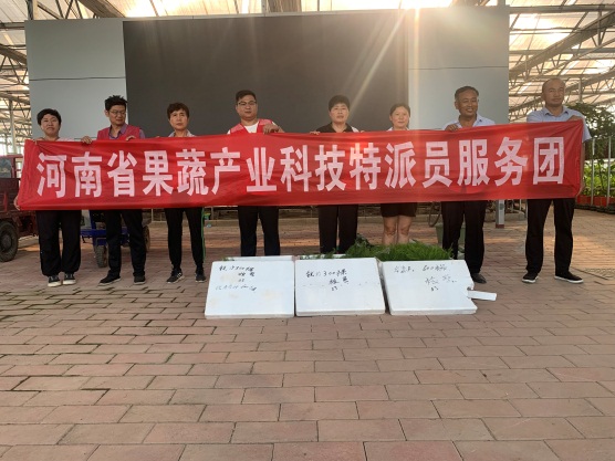 E:\科技特派員工作相關\2023年度河南省果蔬產業(yè)服務團服務工作（2023年1月1日開始）\20230715-16睢縣現(xiàn)代農業(yè)產業(yè)園蘆筍優(yōu)質品種引進\篩選\微信圖片_20230717162356.jpg