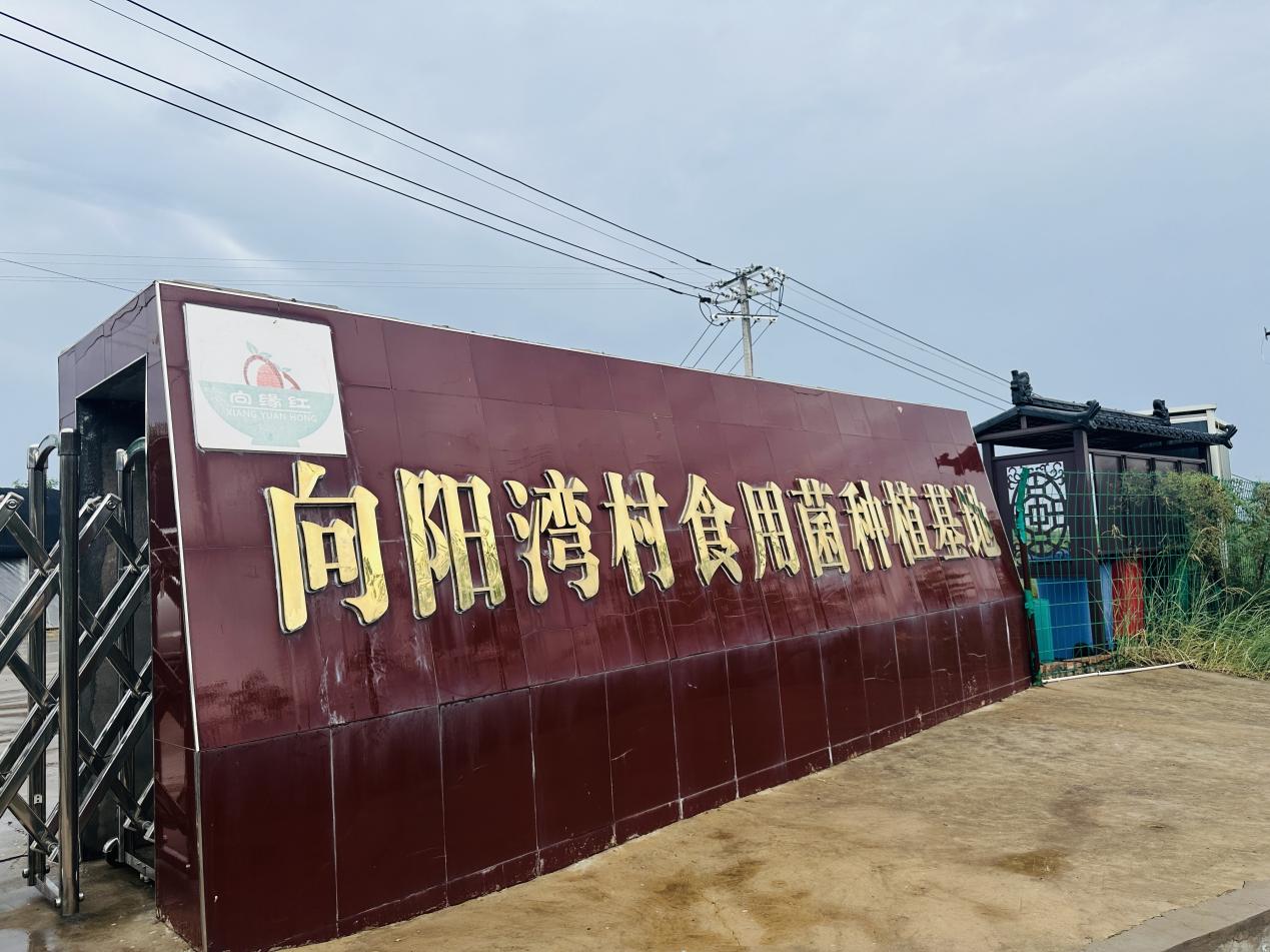 微信图片_20230724005654