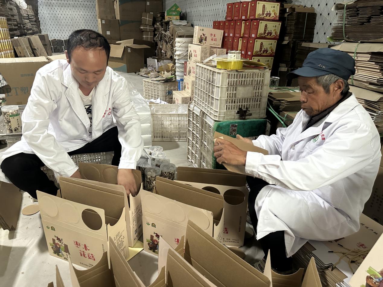 微信图片_20230724005725