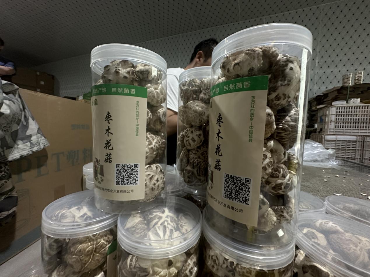 微信图片_20230724005736