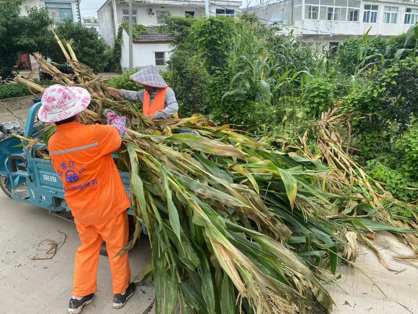 垃圾清理2